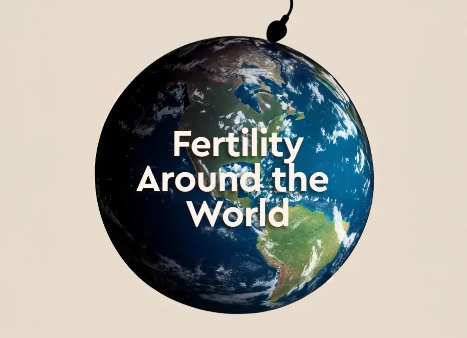 A Global Perspective on Fertility