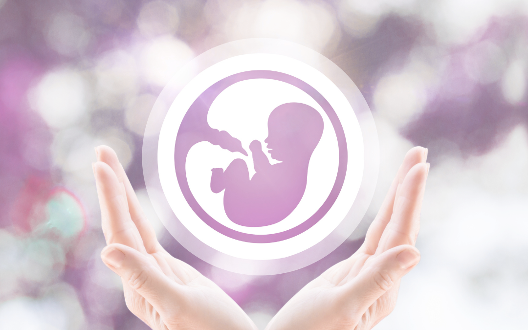 Why Some Families Choose Embryo Donation/Recipient Program:  Paths to Parenthood Are Not One-Size-Fits-All