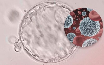 The Immune System and Recurrent Pregnancy Loss
